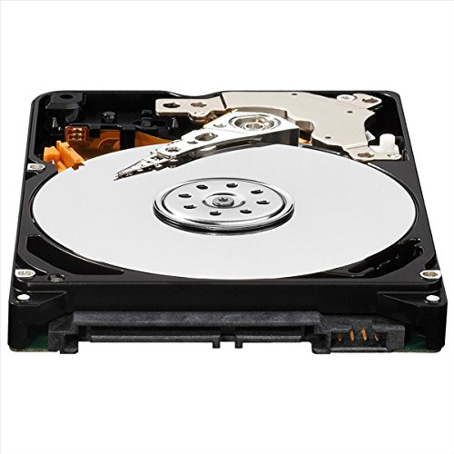 Western digital AV-25 - Disco Duro Interno de 320 GB (SATA, 2.5)