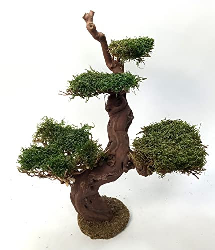 Baum für Krippenstall aus Naturmaterial. Einzelstück. Krippenbotanik 36x32x44 cm