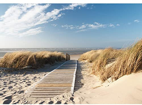 Runa Art Papel tapiz fotográfico 396 x 280 cm Playa y mar | Lana Decoración De Pared Sala Cuarto | Fabricación alemana | marrón azul 9008012b