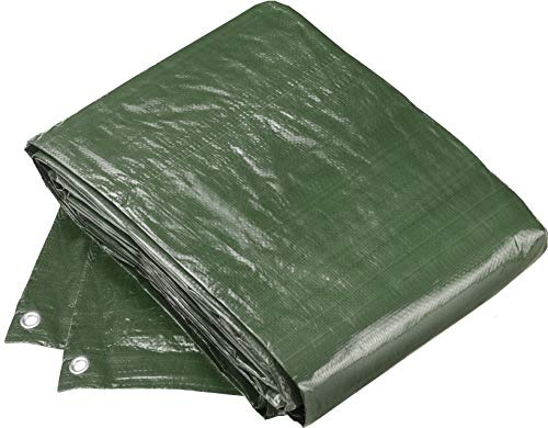 Meister Schutzplane 6 x 8 m - 100 g/m² - Beidseitig beschichtet - Wasserabweisend & UV-stabilisiert - Schimmelresistent - Aus Polyethylen / Gewebeplane / Abdeckplane / Gartenplane / FLOR80420 | Wasserabweisend und UV-stabilisiert – Schimmelresistent – Aus Polyethylen – Gewebeplane – Abdeckplane – Gartenplane