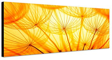 Augenblicke Wandbilder Keilrahmenbild Wandbild 150x50cm Pusteblumen Löwenzahn Sonnenlicht