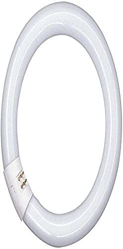 Osram L 40W/865 C G10Q