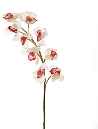 artplants.de Rama de orquídea Cymbidium Artificial, Blanco-Fucsia, 80cm