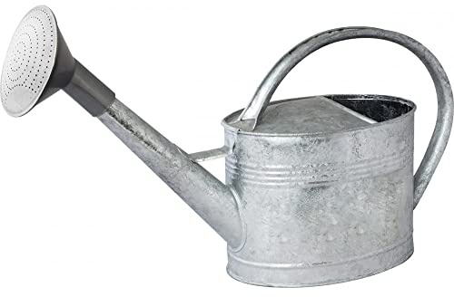GUILLOUARD Arrosoir Galvanisé 6L avec Pomme, Acier