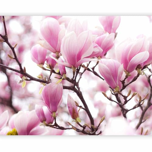 Fototapete - Vlies rosa Magnolie, 300x231 cm, Schlafzimmer, Wohnzimmer | Full HD Druck, 3D-Effekt, lichtbeständige Farben, ideal fürs Wohn- oder Schlafzimmer, schnelle Montage, lichtbeständig, edel