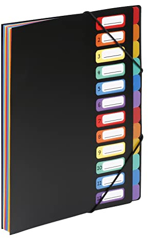 Viquel - Trieur extensible A4 12 compartiments RAINBOW CLASS – Organisateur de documents bureau & maison – Classeur accordéon résistant – Rangement factures, papiers, scolaire – Noir