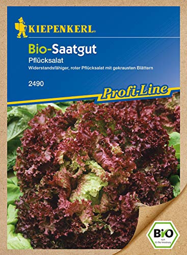 Kiepenkerl 2490 Pflücksalat Lollo Rossa (Bio-Pflücksalatsamen)