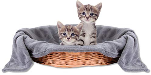 Bestlivings Haustierdecke Katzendecke Kuscheldecke Tierdecke, angenehm und super weich in vielen erhältlich (70x100 cm/steingrau - anthrazit)