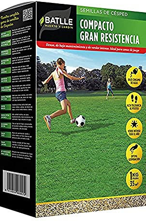 Sementi Batlle Prato Compatto Ad Alta Resistenza