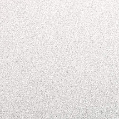 Clairefontaine 90890C 5 Bögen Zeichenpapier Etival Color A4 160g Weiß