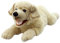 The Puppet Company - Playful Puppies - Yellow Labrador Hand Puppet