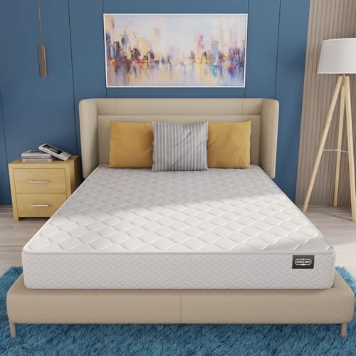HomeLife Queen Mattress 6 Inches 60X80 White – Medium Firm Hybrid – Queen Size Mattress Pocket Coil Tight Euro Top High Density & Polyester Cover – Rolled in a Box