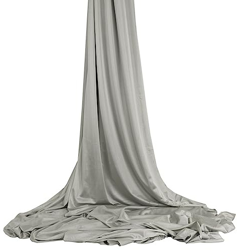 Wellsem Deluxe L: 5 m, L: 3 m, Hamac de yoga aérien pour yoga anti-gravité en soie, pour yoga et musculation (5m x 2,8m) (Argent)