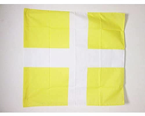AZ FLAG Drapeau Ordonnance du régiment de Normandie 1615-1793 90x90 cm | Usage intérieur et extérieur Drapeau décoratif infanterie du Royaume de France coutures doubles et bords renforcés