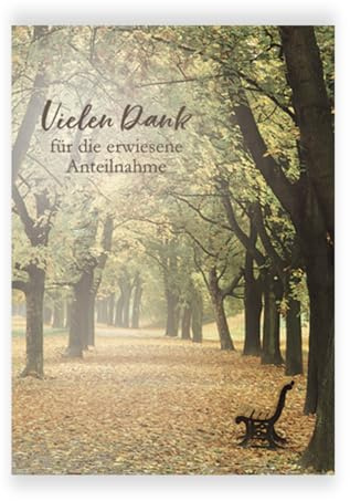 KE - Trauer-Danksagungskarten (5er Set) | Dankeskarten für Beileidsbekundungen | Ohne Innentext | Inklusive Umschläge | DIN C6 | Hochwertige Klappkarten | Motiv: Waldweg
