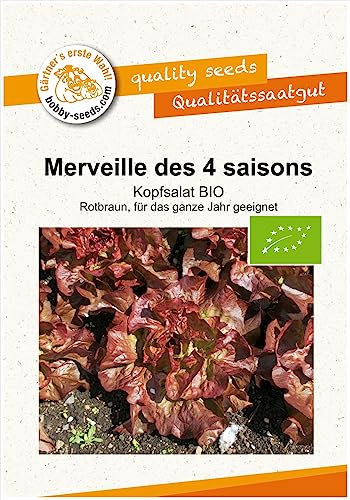 BIO-Salatsamen Merveille des 4 saisons Kopfsalat Portion