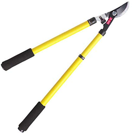 Tijeras Podar Profesional Acero Telescópica 2 Manos