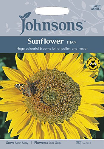 Johnsons 21629 Sunflower Titan, Yellow