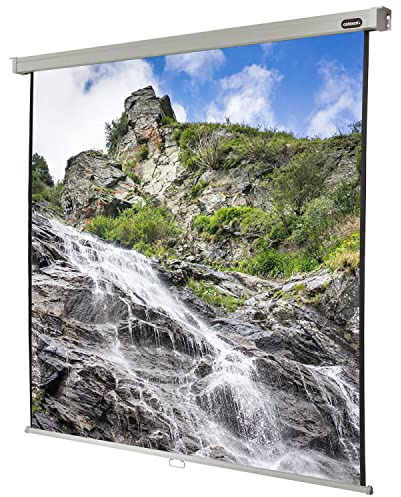 celexon Professional Rollo-Leinwand 120 | 220x220 cm 1:1 | manuell ausziehbare 4K, Full-HD Beamer-Leinwand für das Büro & Heimkino-Projektionen | Wand- & Deckenmontage/ zum Aufhängen