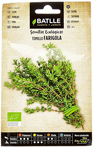 Semi biologici - Timo (900 semi - Biologico)