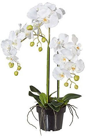 Kunstblumen Phalenopsis ca 62 cm Weiß, Orchidee im Schwarzen Kunststofftopf 15 cm
