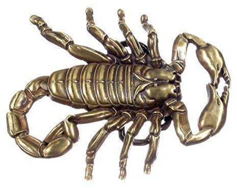 Piratenladen Buckle als Skorpion, Messing, Gürtelschnalle