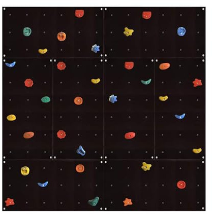 Gartenpirat Mur d'escalade extérieur OW8 5,20 m² – Mur d'escalade avec 40 Prises colorées et Huit Panneaux multiplex 114 × 57 cm pré-montés, matériel de Montage Inclus – pour Enfants et Adultes