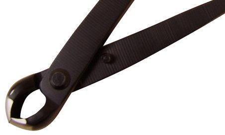 Bonsai Knospenzange Werkzeug 18 cm Bonsaizubehör von Genkibonsai