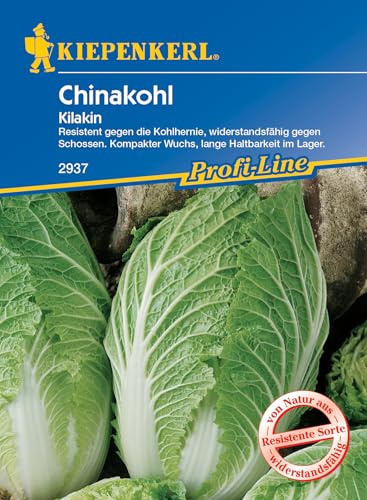 Kiepenkerl Profi-Line Chinakohlsamen Kilakin, F1 2937 - Resistente Sorte - Kompakter Wuchs - Widerstandsfähig - Samen Gemüse. Gemüsesamen, Saatgut