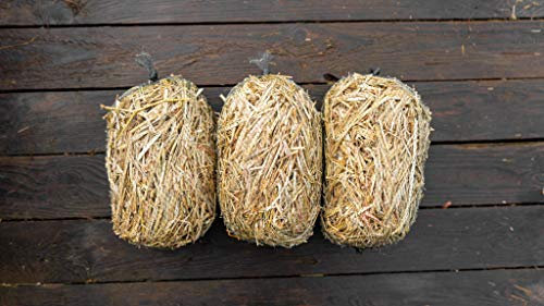 3 x nets of barley straw for natural algae treatment in ponds direct from farm