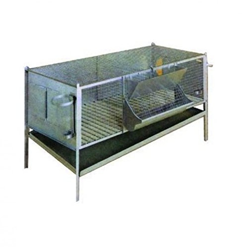 Vigor-Blinky Conigliere Zincate