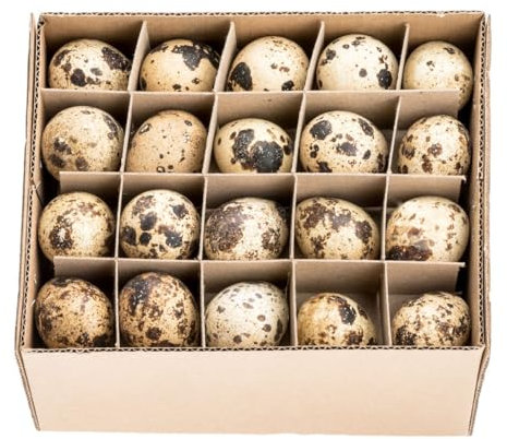 NaDeco Wachteleier, im Karton mit 60 Stück, ausgeblasen und gereinigt | Wachtelei | Wachtel Eier | Dekoeier | Ostereier | Osterdeko | kleine Dekoeier