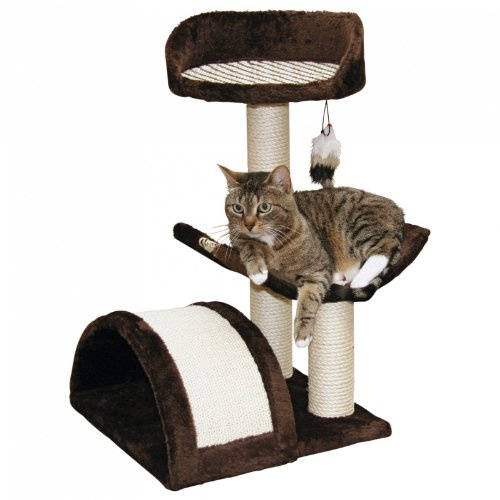 Kerbl Pet Kratzbaum SAFARI XL 46x59x83 dunkelbraun mit Borte
