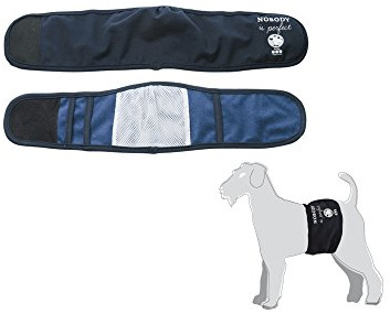 Camon – Band X Hunde männlichen blau TG.XS C220/1