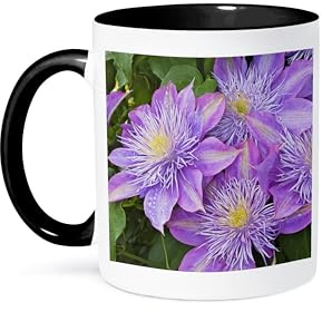 3dRose Clematis flower - NA01 AJE0179 - Adam Jones 11oz Two-Tone Black Mug