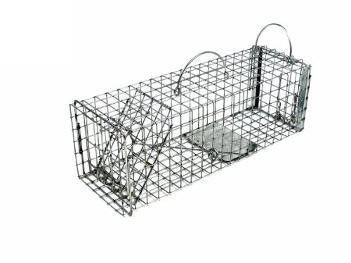 Tomahawk Live Trap - Model 603 - Original Series Rigid Live Trap with one Trap Door and Easy Release Door - 19x6x6 for Squirrel, Rat, Muskrat Sized Animals