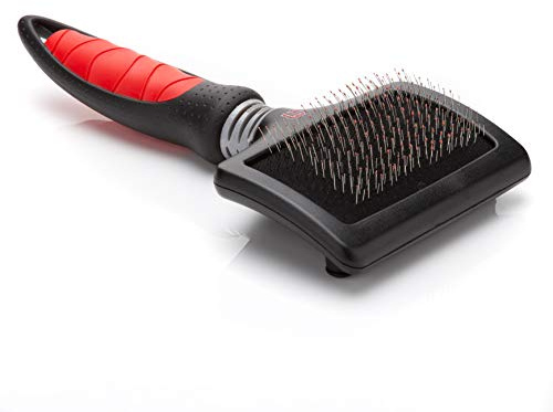 Mikki Brosse Carde Nifty Grande pour Chien