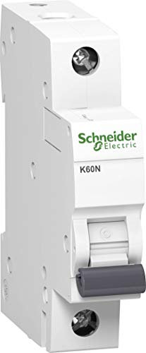 Schneider A9K02102 - Interruttore di circuito K60N 1P, 2A, caratteristiche C, 6 kA, colore: Bianco