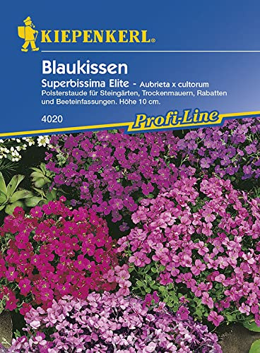 Sperli Blumensamen blaukissen Superbissima Elite, grün