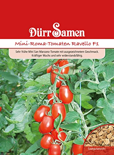 Dürr-Samen - Roma-Tomaten Ravello F1 Saatgut