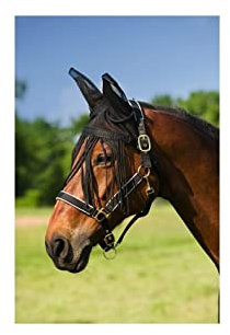 Netzhaube mit Fliegen-Fransen, braun, Pony