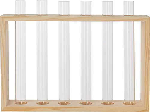 VBS Vase Reagenzglashalter Cube Glas Reagenzglas Blumenvase DIY 20x12,5x4cm