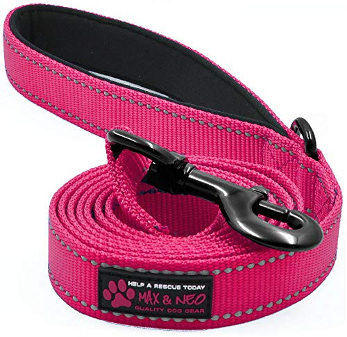 Max and Neo Reflective Nylon Dog Leash - We Donate a Leash to a Dog Rescue for Every One Sold (Pink, 6ft)