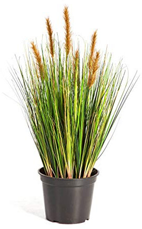 artplants.de Deko Fuchsschwanzgras im Topf, 790 Halme, 6 braunen Rispen, grün, 60cm - Grasbusch künstlich - Kunstgras im Topf