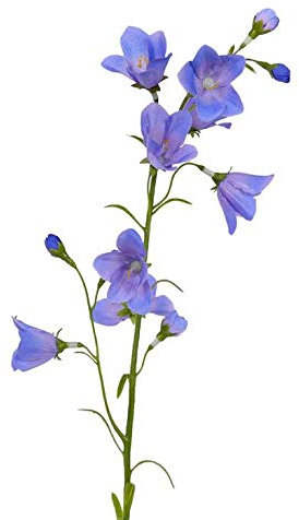 artplants.de Artificial Bellflower, blue, 26/66cm, Ø 2/5cm - Artificial Campanula/Silk Flower