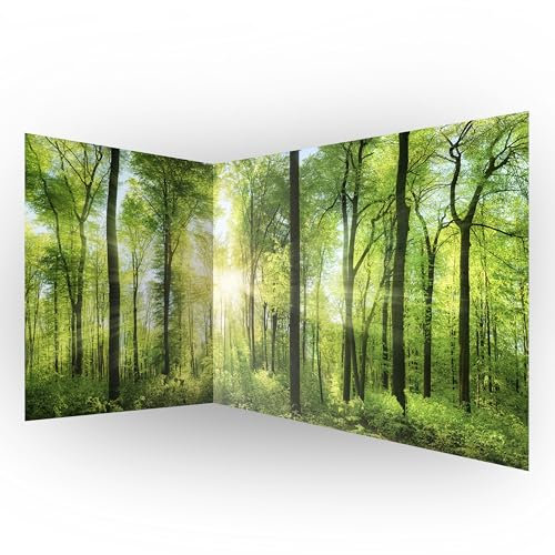 murando - Eckfototapete Wald 550x250 cm - Vlies Tapeten Wandtapete XXL Moderne Fototapete Wanddeko Design Wand Dekoration Wohnzimmer Schlafzimmer Büro Flur Landschaft Natur grün Baum c-A-0058-a-b