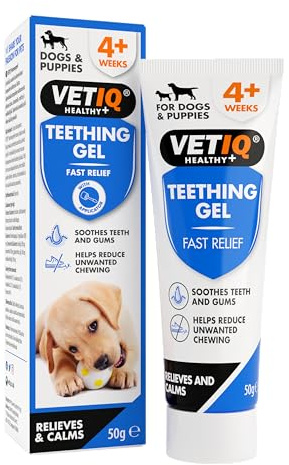 Welpe VetIQ Zahngel, 50 g, beruhigt Zahnfleischschmerzen, reduziert unerwünschtes Kauen beim Zahnen, enthält Kamillen-, Pfefferminz- und Nelkenöl, verhindert den Atem von Hunden, Welpen ab 4 Wochen