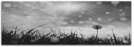 Leinwandfoto als Panorama SCHWARZ/WEISS 150x50cm Wiese Pusteblume Sonne Wolken Vintage