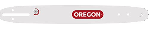 Oregon 160SDET041 91 Series Double Guard Sprocket-Nose Bar with T041 Intenz Mount