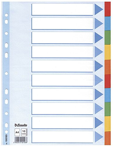 Leitz 100193 Kartonregister Standard Blanko, A4, 10 Blatt mit farbigen Taben, weiss (15er Pack, 10-teilig)
